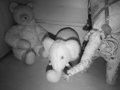Peluches con visión nocturna