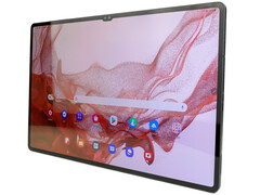 La Galaxy Tab S9 se lanzará con un panel AMOLED (imagen vía propia)