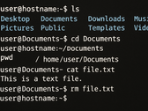 Linux from Scrach 12.4 mantiene viva la CLI pero ofrece rutas para una distro autoconstruida con todas las funciones (Fuente de la imagen: Generada usando OpenAI)