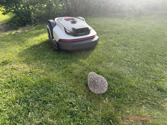 La detección del igel mediante las dos cámaras funcionó excepcionalmente bien.