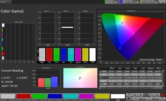 Espacio de color CalMAN sRGB