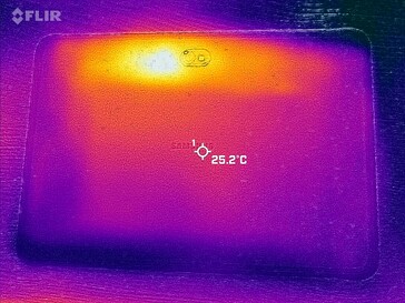 Mapa de calor de la espalda