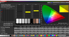 CalMAN ColorChecker calibrada