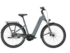 Fuerte EVO 5F Lite: La bicicleta eléctrica puede cargarse con mucho equipaje. (Fuente de la imagen: Pegasus)