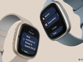 Ya puedes utilizar Google Wallet para realizar pagos sin contacto en tu smartwatch Fitbit Sense 2 o Versa 4. (Fuente de la imagen: Fitbit)
