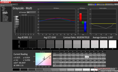 Escala de grises antes de la calibración (modo AdobeRGB)