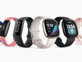 La última ronda de actualizaciones de Fitbit se centra en los problemas de seguridad de muchos de sus wearables. (Fuente de la imagen: Fitbit)