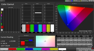 CalMAN: Espacio de color sRGB