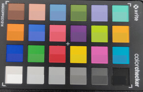 ColorChecker: El color de referencia se encuentra en la mitad inferior de cada campo