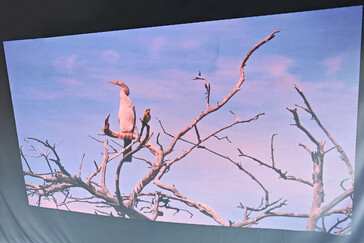 Pantalla de proyección exterior (luz diurna) (Fuente de la imagen: Daniel Schmidt)