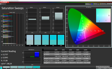 CalMAN: Saturación de color - Espacio de color de destino DCI P3, pantalla principal