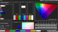 Espacio de color CalMAN (perfil: Natural; espacio de color: sRGB)