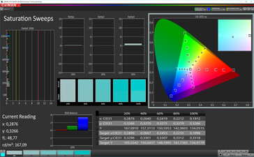 CalMAN: Saturación de color - Espacio de color de destino DCI P3, ajustes de color personalizados