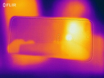 Mapa de calor en la parte posterior