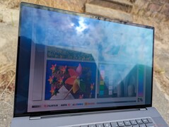 Al aire libre bajo la luz del sol