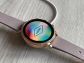 La serie Gen 6 de Fossil se lanzó hace casi dos años (Fuente de la imagen: NotebookCheck)