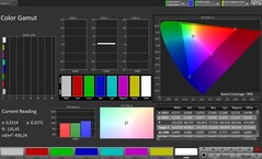Espacio de color CalMAN – Pantalla para exteriores