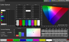 Espacio de color CalMAN - pantalla exterior