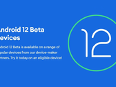 Los propietarios de OnePlus y Xiaomi deben tener en cuenta que flashear Android 12 Beta 1 podría brickear su dispositivo. (Fuente de la imagen: Google)
