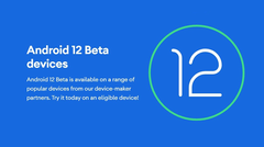 Los propietarios de OnePlus y Xiaomi deben tener en cuenta que flashear Android 12 Beta 1 podría brickear su dispositivo. (Fuente de la imagen: Google)