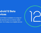 Los propietarios de OnePlus y Xiaomi deben tener en cuenta que flashear Android 12 Beta 1 podría brickear su dispositivo. (Fuente de la imagen: Google)