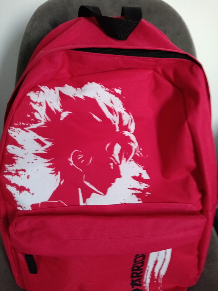 Toma de muestra de una mochila. (Fuente de la imagen: Sergey Tarasov - Notebookcheck)