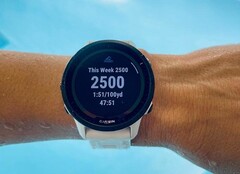 Garmin sigue actualizando el Forerunner 955 incluso después de sustituirlo por el Forerunner 965. (Fuente de la imagen: Garmin)