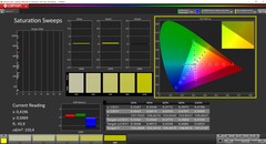 Calman calibración de saturación