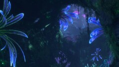 Avatar Fronteras de Pandora