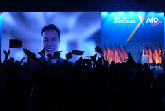 Las ventas de Tesla se desploman en Europa: Las actividades políticas de Elon Musk parecen perjudicar a la empresa