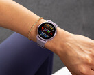 El Vivoactive 5 ha recibido su tercera actualización beta este mes. (Fuente de la imagen: Garmin)