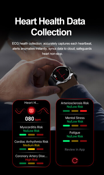 (Fuente de la imagen: Rogbid)