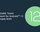 Xiaomi ha abierto las pruebas de Android 12 a otros tres smartphones insignia. (Fuente de la imagen: Xiaomi)