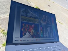 Al aire libre bajo la luz del sol