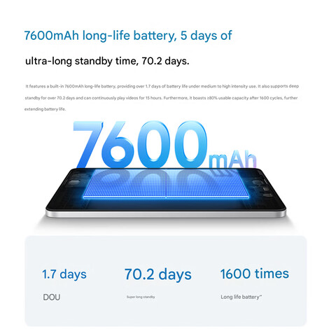 Detalles de la batería (traducción automática)