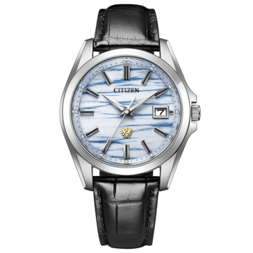 Vista frontal del Citizen AQ4090-08A