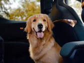 Zeekr X tiene asientos eléctricos plegables para que quepa tu mascota (imagen: Geely)