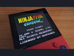 Una imagen de Ninja Gaiden Shadow DX en X (fuente de la imagen: Marc Max)