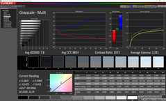 Escala de grises antes de la calibración (touchpad display)