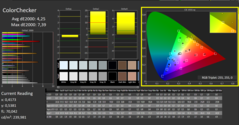 CalMAN - ColorChecker