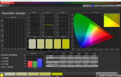 CalMAN Saturación calibrada