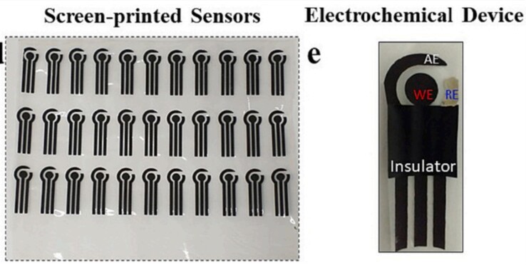 El sensor de uso vegetal está hecho de acetato de celulosa biodegradable (derivado de la pulpa de madera) y carbono. (Fuente: artículo de S.C. Teixeira et al. en Biomaterials Advances)