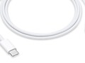 Este cable puede convertirse pronto en algo del pasado. (Fuente: Apple)