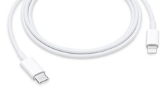 Este cable puede convertirse pronto en algo del pasado. (Fuente: Apple)