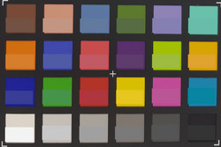 ColorChecker Passport: color de referencia en la mitad inferior de cada parche.