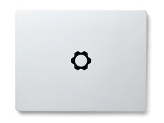 Los portátiles Framework son conocidos por sus amplias opciones de actualización y reparación. (Fuente de la imagen: Framework)