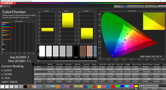 CalMAN ColorChecker calibrado