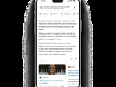 Google Bard puede destilar información para ofrecer perspectivas significativas en la búsqueda conversacional. (Fuente de la imagen: Google)