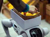El robot humanoide T1, capaz de transformarse en un perro robot