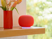 El altavoz Google Home en Berry. (Fuente de la imagen: Google)